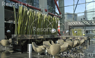 Hesperia Tower 15
